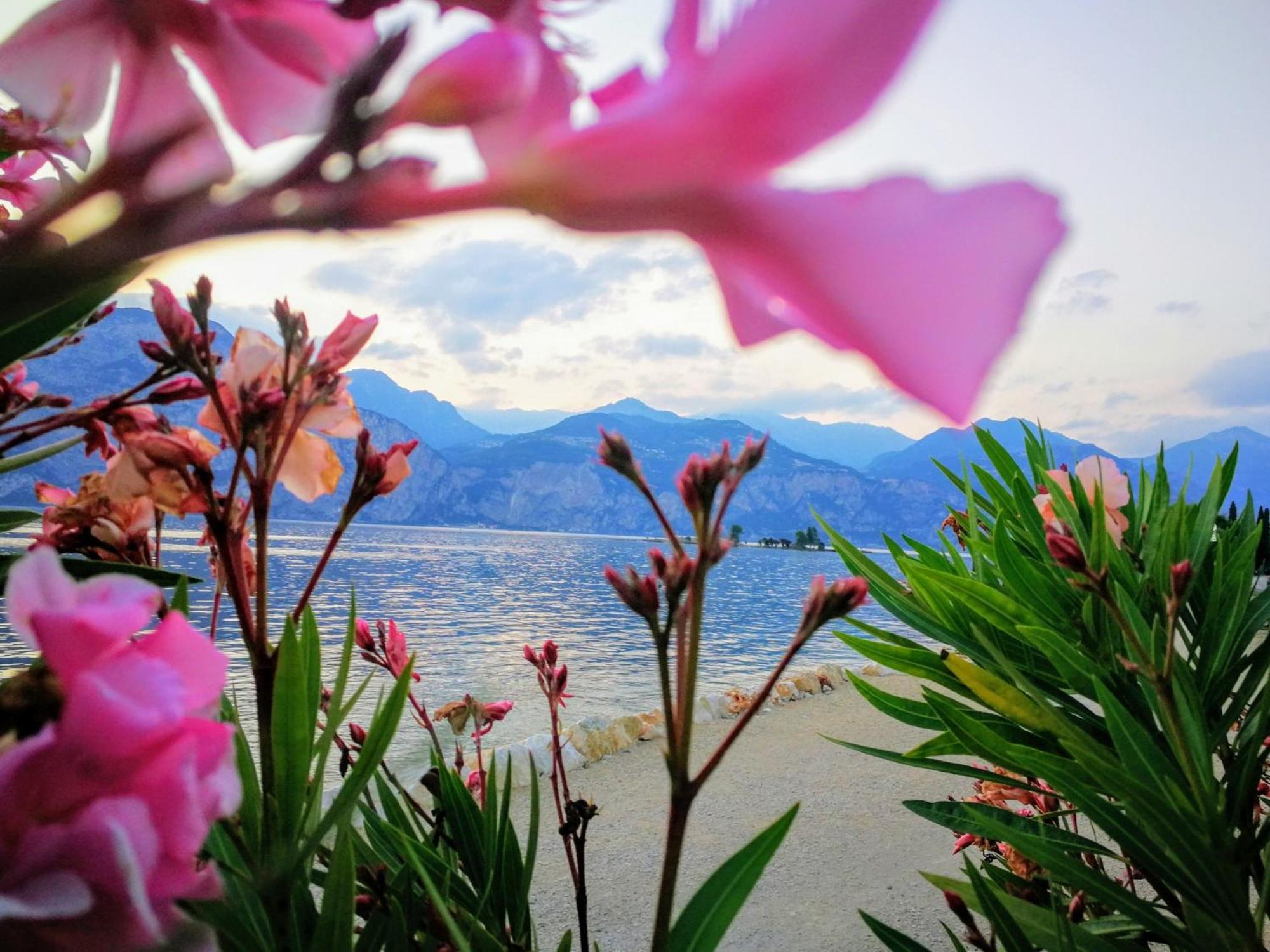 Hotel Drago - Garda Lake Collection برنزوني سول جاردا المظهر الخارجي الصورة